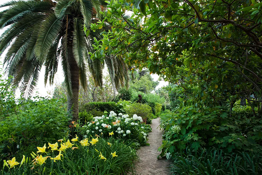 Hotel Boutique en Benahavis palmeras